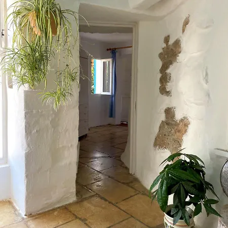 Capurre Trulli E Pajare A Due Passi Dal Pizzo Gallipoli