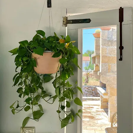 Capurre Trulli E Pajare A Due Passi Dal Pizzo Casa vacanze *