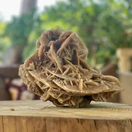 Capurre Trulli E Pajare A Due Passi Dal Pizzo Gallipoli