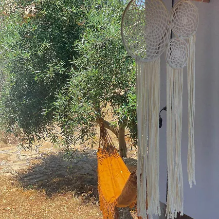 Capurre Trulli E Pajare A Due Passi Dal Pizzo Casa vacanze *