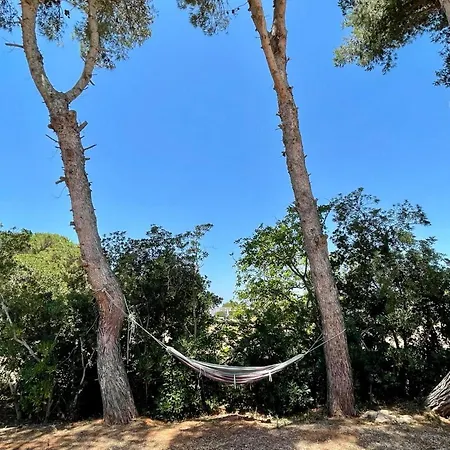 Capurre Trulli E Pajare A Due Passi Dal Pizzo