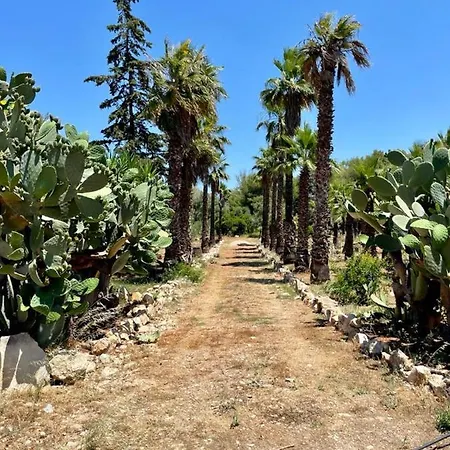 Casa vacanze Capurre Trulli E Pajare A Due Passi Dal Pizzo *